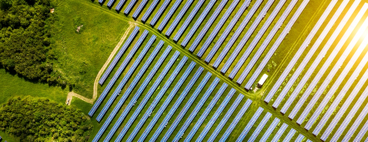 Large green field with many outdoor solar panel arrays and trees
