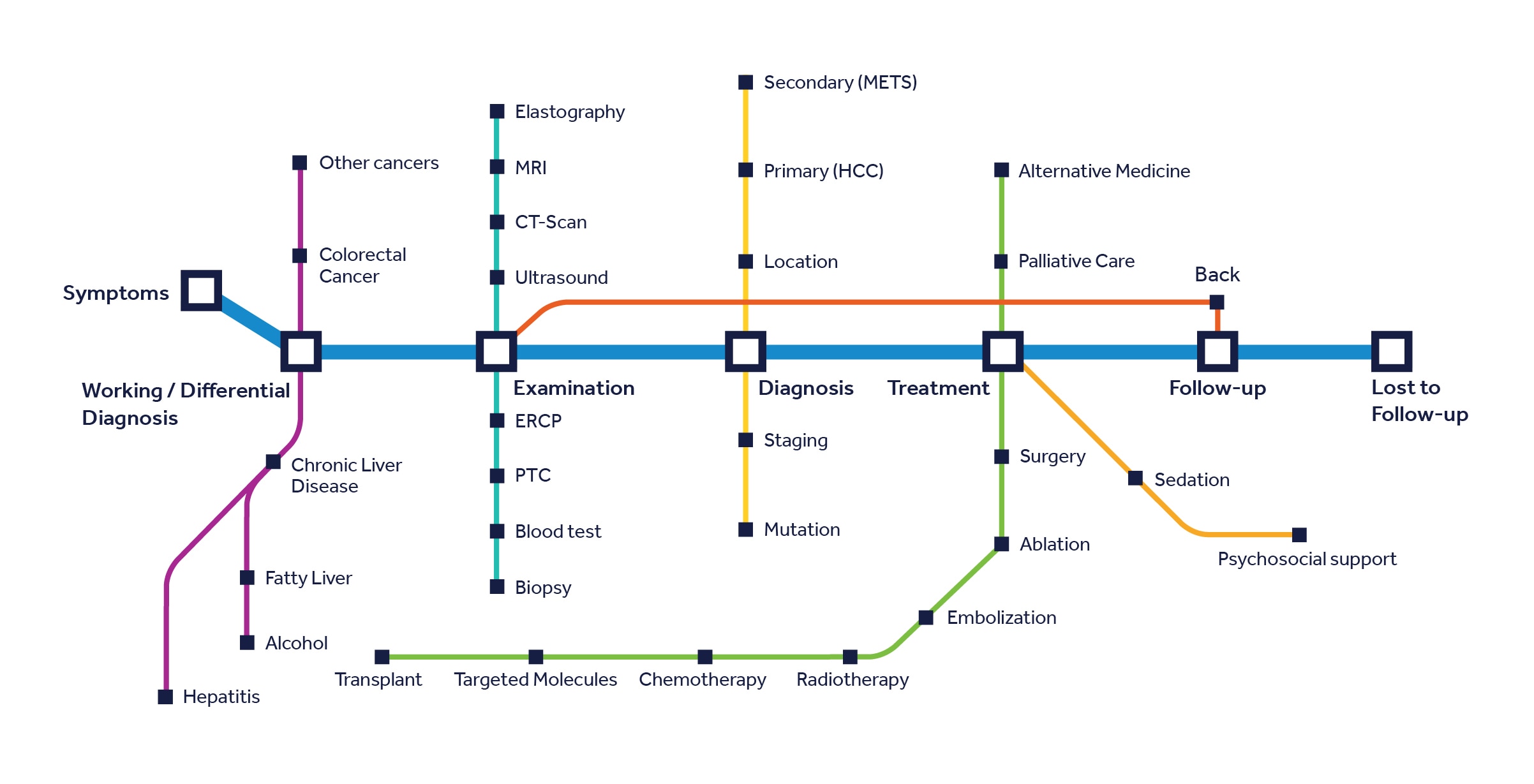 liver-cancer-patient-pathway