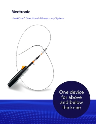 Hawkone Brochure