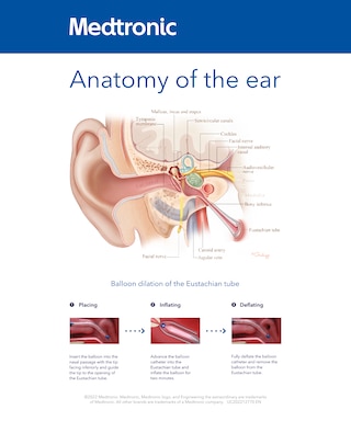 Download the office poster.