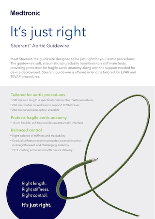 View the Steerant™ aortic guidewire information sheet.