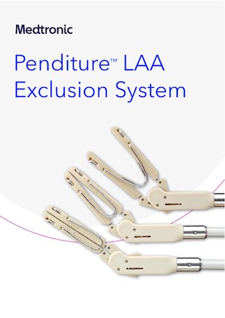 Penditure™ LAA European Product Brochure