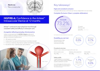 Artisse™ 12-Month Follow-Up Clinical Summary