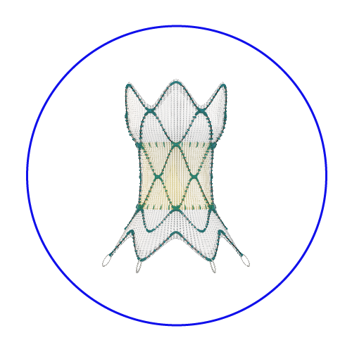 This is an image of the Harmony™ 22 transcatheter pulmonary valve (TPV).
