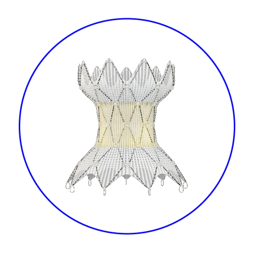 This is an image of the Harmony™ 25 transcatheter pulmonary valve (TPV).