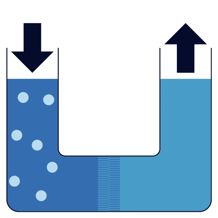 An animation of reverse osmosis