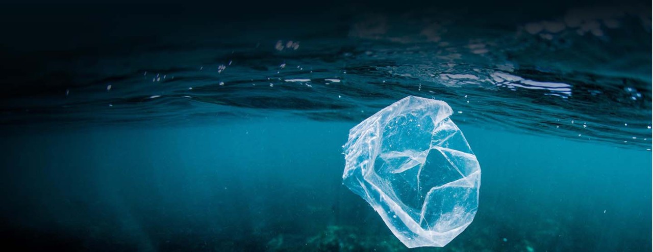 A photo of a plastic bag floating in sea water